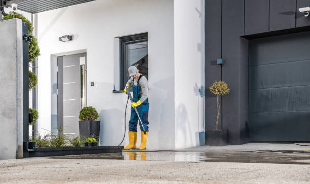 Best Roof Washing  in Wiggins, MS